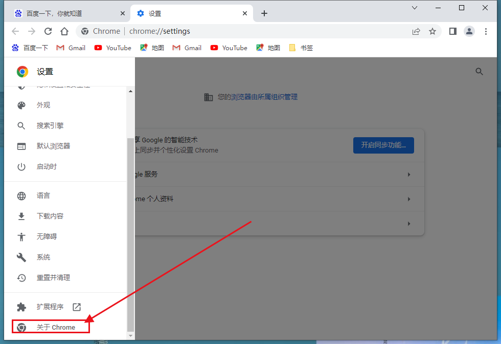 谷歌chrome浏览器 X64 增强版