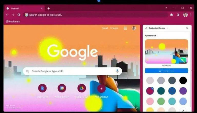 如何设置Google Chrome浏览器的隐私保护功能1
