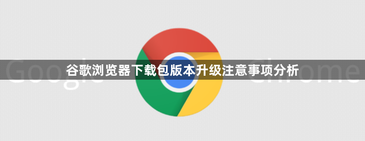 谷歌浏览器下载包版本升级注意事项分析1