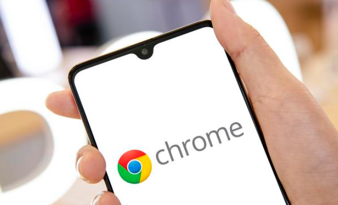Google Chrome下载失败但显示完成如何修复1