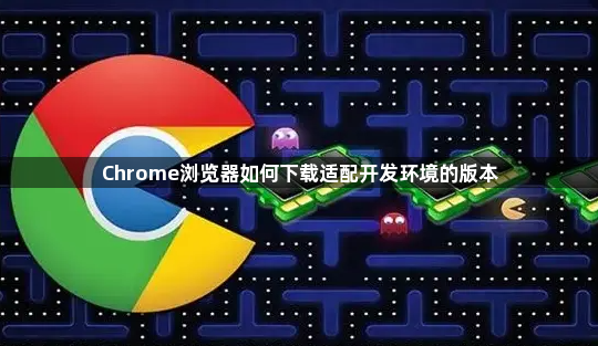 Chrome浏览器如何下载适配开发环境的版本1