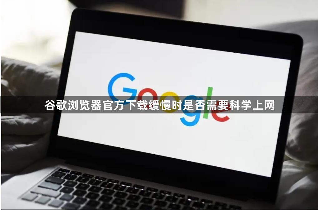 谷歌浏览器官方下载缓慢时是否需要科学上网1