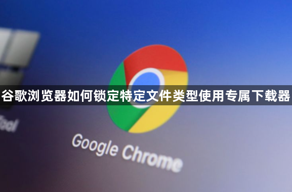 谷歌浏览器如何锁定特定文件类型使用专属下载器1