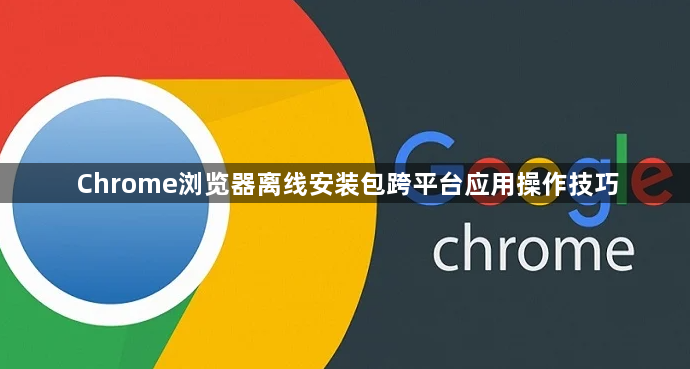 Chrome浏览器离线安装包跨平台应用操作技巧1
