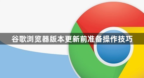 谷歌浏览器版本更新前准备操作技巧1