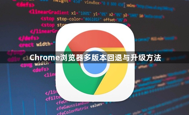 Chrome浏览器多版本回退与升级方法1