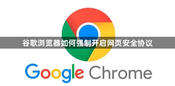谷歌浏览器如何强制开启网页安全协议1