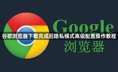 谷歌浏览器下载完成后隐私模式高级配置操作教程1