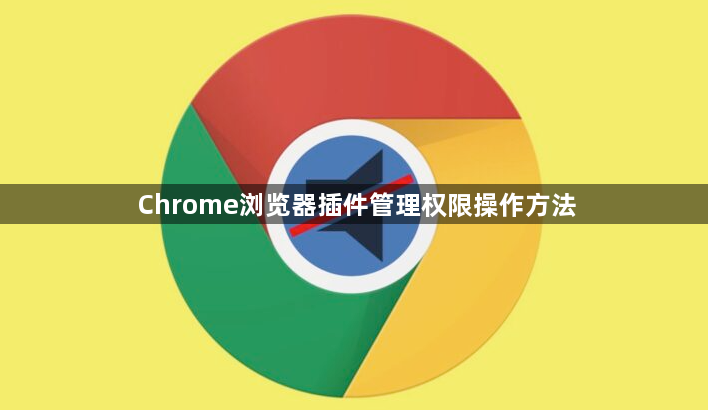 Chrome浏览器插件管理权限操作方法1