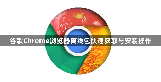 谷歌Chrome浏览器离线包快速获取与安装操作1