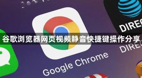 谷歌浏览器网页视频静音快捷键操作分享1