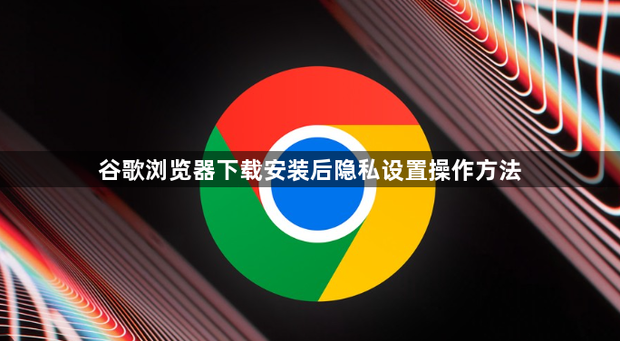 谷歌浏览器下载安装后隐私设置操作方法1
