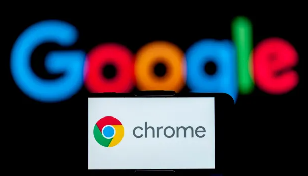 谷歌Chrome浏览器便携版快速获取与安装1