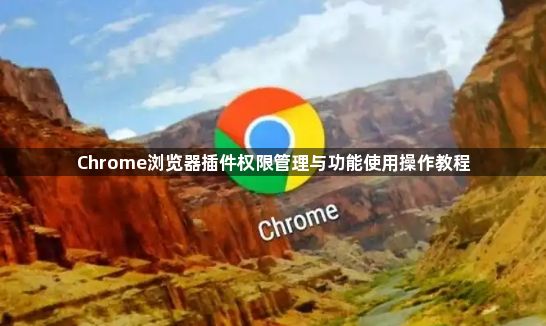 Chrome浏览器插件权限管理与功能使用操作教程1