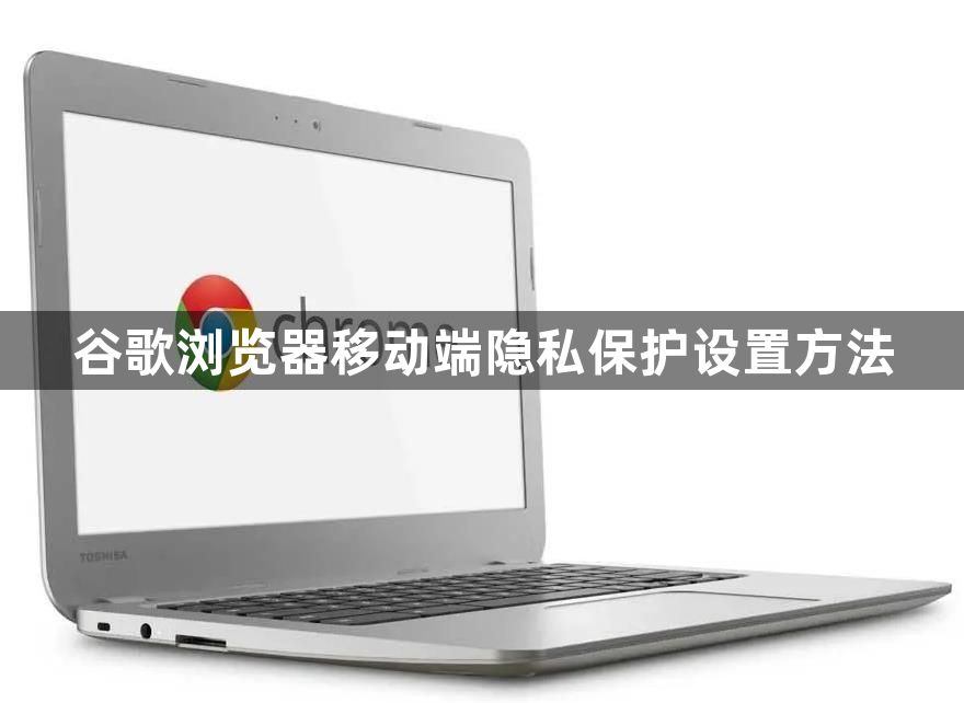 谷歌浏览器移动端隐私保护设置方法1