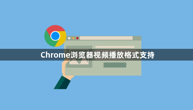 Chrome浏览器视频播放格式支持1