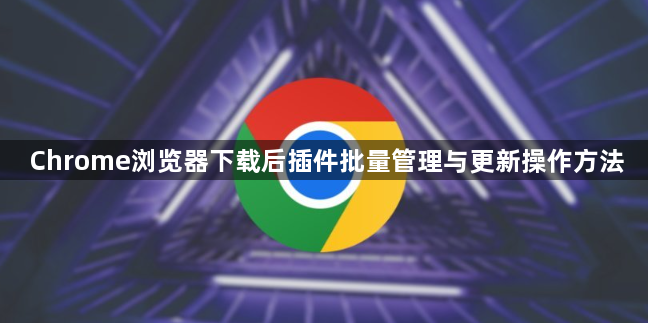 Chrome浏览器下载后插件批量管理与更新操作方法1