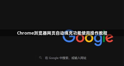 Chrome浏览器网页自动填充功能使用操作教程1